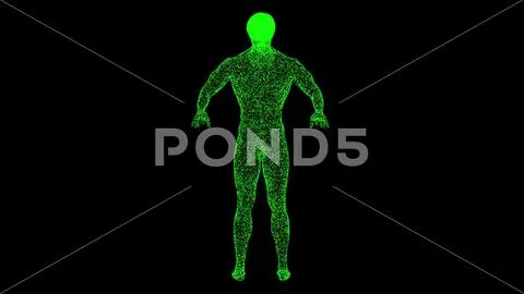 D Naked Male Body On Black Background Human Anatomy Concept Muscles Anatom Royalty Free