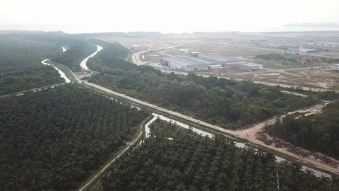 Aerial View Development Of Batu Kawan To Stock Video Pond