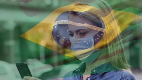 Animation Of Flag Of Brazil Waving Over Stock Video Pond