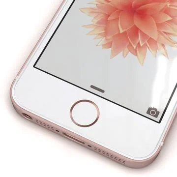 D Model Apple Iphone Se Rose Gold Pond