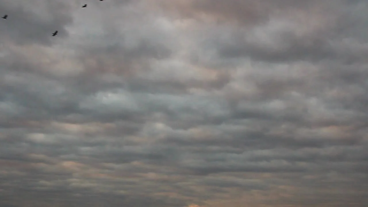 Overcast Sky Overcast Sky