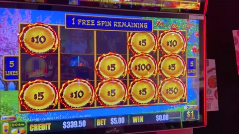 Free Reels\ Stock Videos – Royalty-Free HD & 4K Videos | Pond5