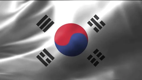 Close Up Of The South Korea Flag Waving Stock Video Pond