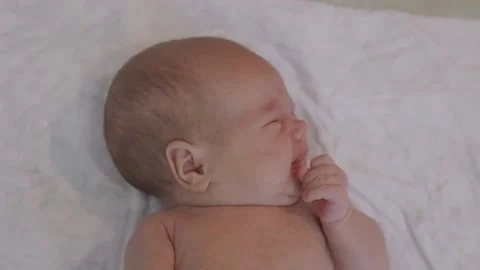 Screaming Crying Baby Stock Video Footage Royalty Free Screaming