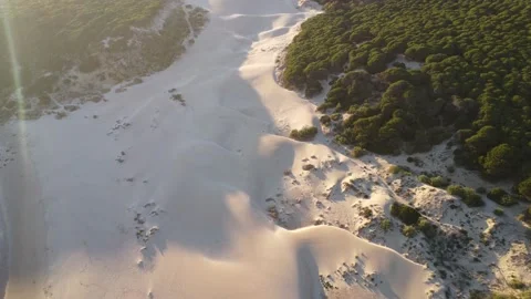 Dune Of Boloinia Beach In Tarifa Cadiz Stock Video Pond5