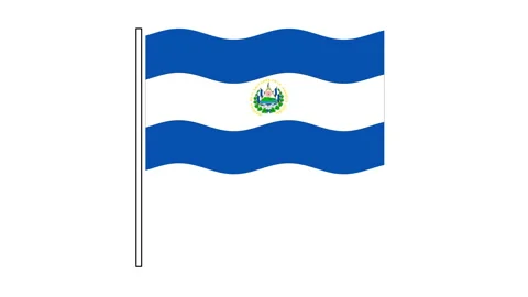 El Salvador Flag Seamless Loop Animation Stock Video Pond