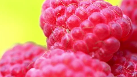 Fresh Raspberry Fruits As Food Backgroun Stock Video Pond