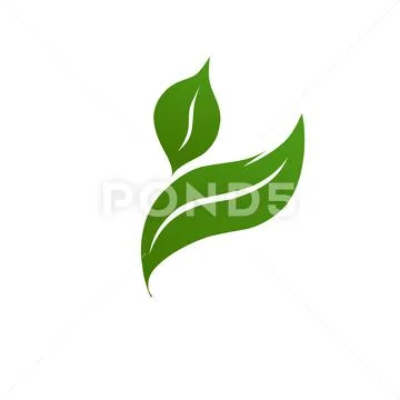 Green Leaves Vector Logo Plant Template Clip Art