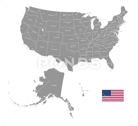 Grey Vector Political Map Of Usa Graphic