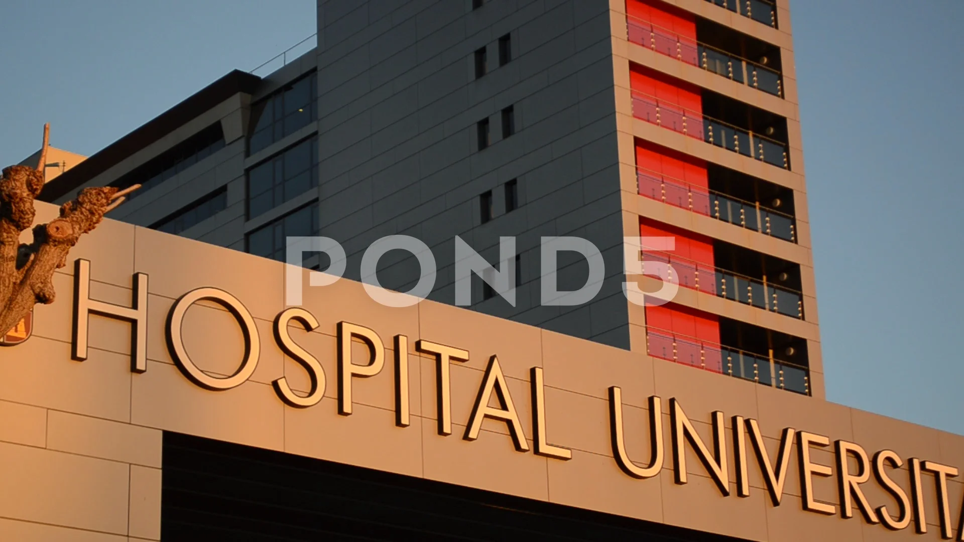Hospital fotografico leon gto 40 Hospital fotografico leon gto 45