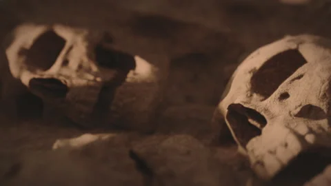 Human Skulls Buried In The Dirt Sunset Stock Video Pond