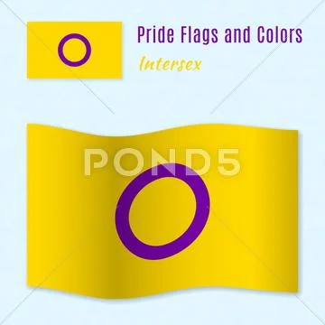 Intersex Pride Flag With Correct Color Scheme Graphic 55789793