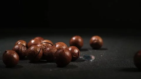 Macadamia Nuts Stock Video Footage Royalty Free Macadamia Nuts Videos