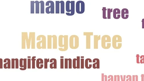 Mango Animated Stock Video Footage Royalty Free Mango Animated Videos