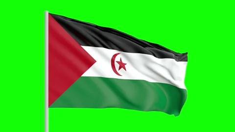 National Flag Of Western Sahara Waving I Stock Video Pond5