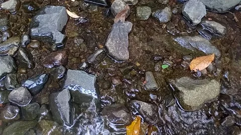 Natural Water Flow Flowing In The River Stock Video Pond5