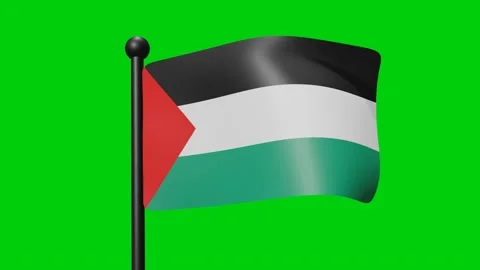 Palestina Flag Waving In Slow Motion On Stock Video Pond5