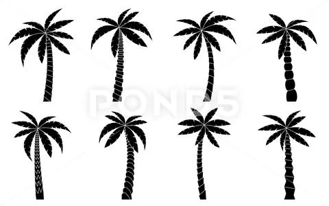 Palm Tree Black Silhouette Isolated Tropical Set Illustration