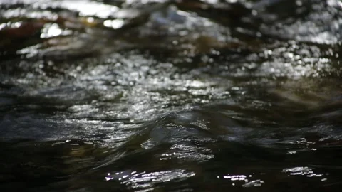 Anechoic Chamber Stock Footage Royalty Free Stock Videos Pond