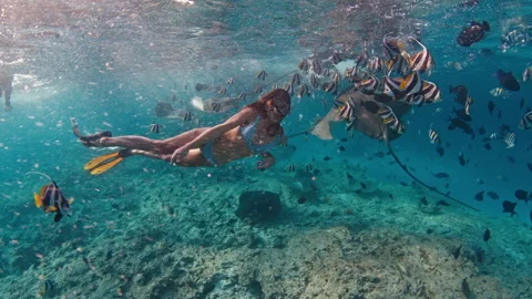 Sensual Slim Fit Woman In Bikini Swims I Stock Video Pond5