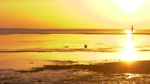 Silhouette Of Man Walking On A Sunset Or Stock Video Pond