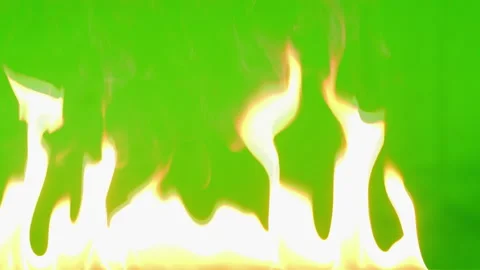 Slow Motion Fire Flame Burning On Green Stock Video Pond