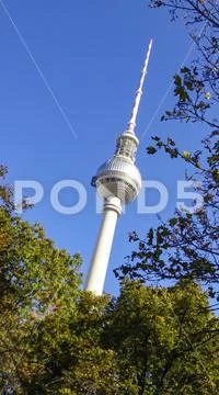 Berlin TV tower between the trees