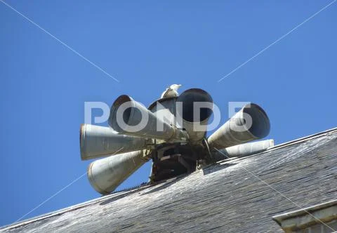 Old siren on the roof with gull, Etretat / France