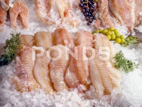 Fresh fish fillets on ice