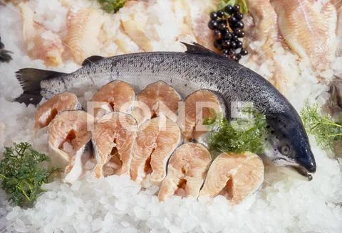Fresh salmon and salmon fillets on ice