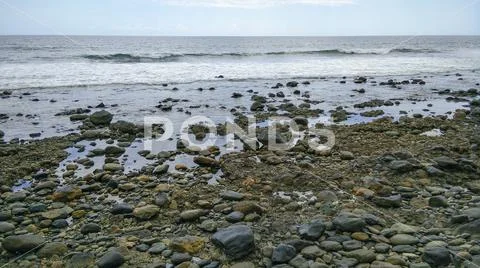 Stone coast in Maspalomas, Gran Canaria, Spain at low tide