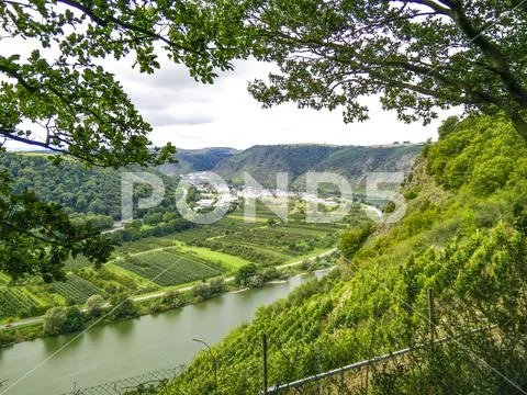 Moselle valley, Germany