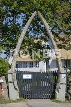 Sylt, museum in Keitum, entrance with whale bones