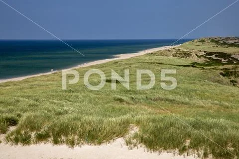 Sylt, view of the sea, dunes and beach