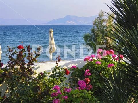 Kos beach with flower wall