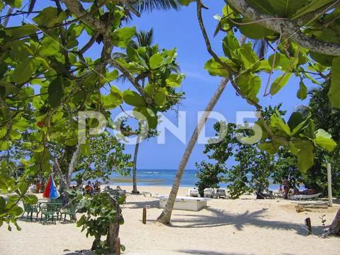 Beach at Samana in the Caribbean