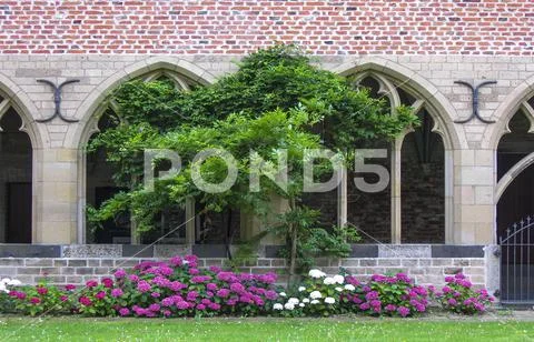 Portico with Gothic arches and hydrangeas