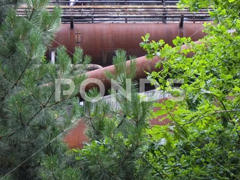 Pipes and trees in the disused industrial area
