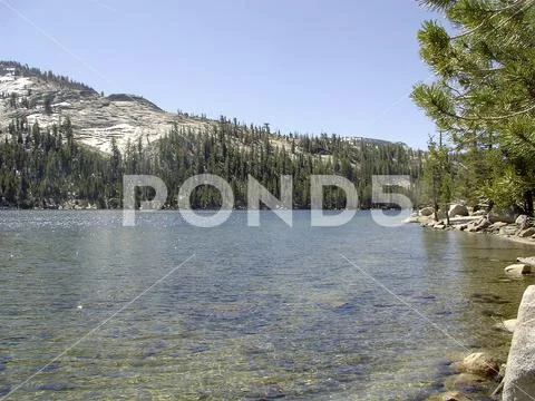 View of Tioga Lake in Yosemite NP
