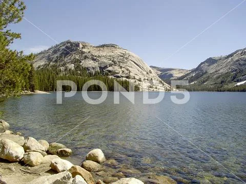 View of Tioga Lake in Yosemite NP