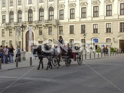 Horse-drawn carriage in the Hofburg in Vienna