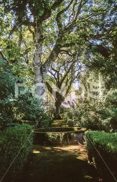 Historic garden in Machico, Madeira