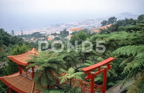 View of Funchal from Monte Japanese Garden