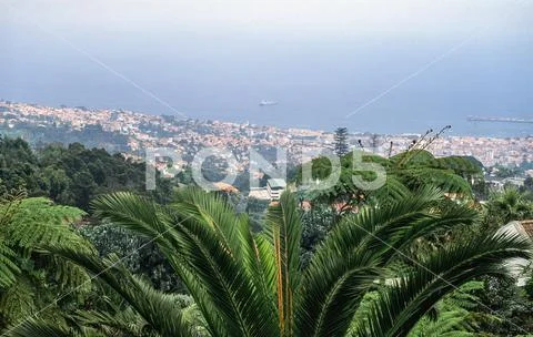 Funchal and the sea from Monte Monte