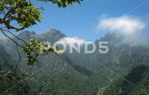 Valley wooded with mountains in Madeira