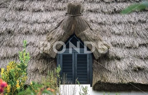 Thatched cottage detail in Santana, Madeira