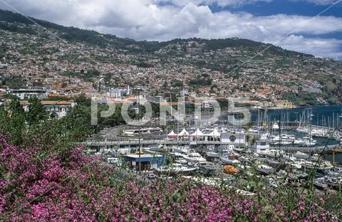 Funchal and port, Madeira, Portugal