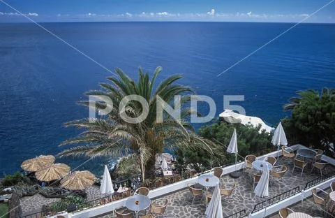 Garden overlooking the Atlantic, Madeira