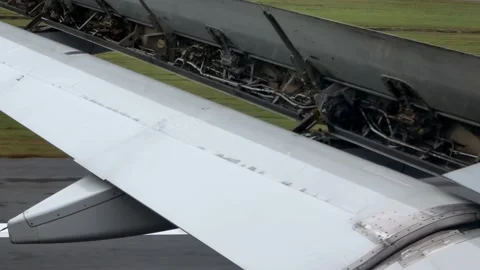 0 Video stock 143789721