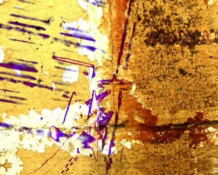 00005 VJ Loops  - LoopNeo 720 X 576 库存影片 10728494